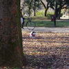 狆の小金井公園お散歩友の会(20211212)