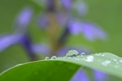 小雨中