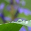 小雨中