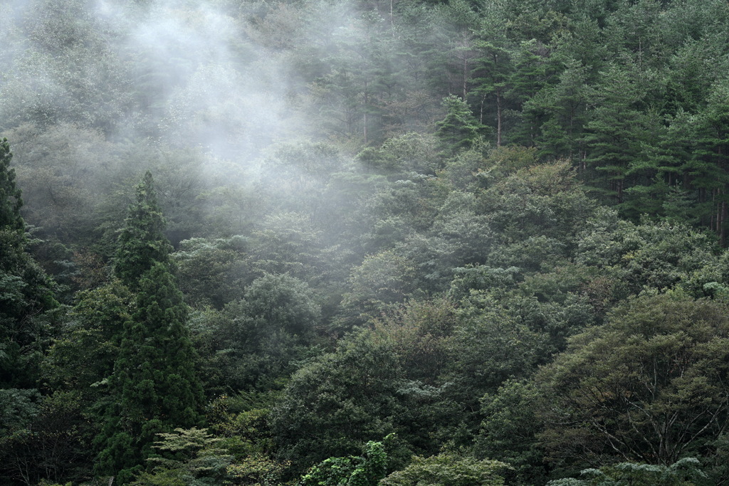 郷の山