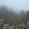 春雨