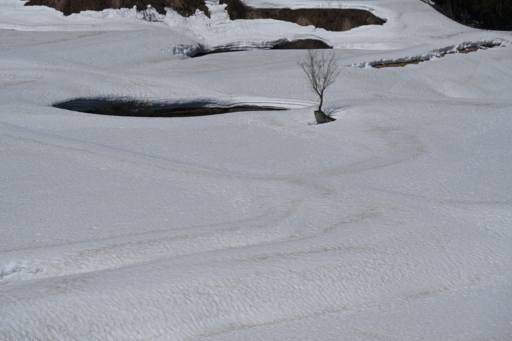 雪どけ待ち遠しい山の田