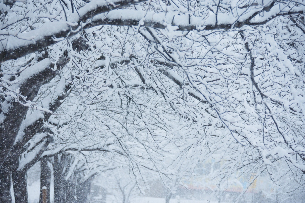 雪と北越急行