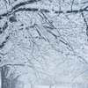 雪と北越急行