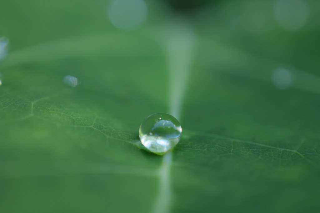 雨上がりの青空に..