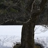寝開き