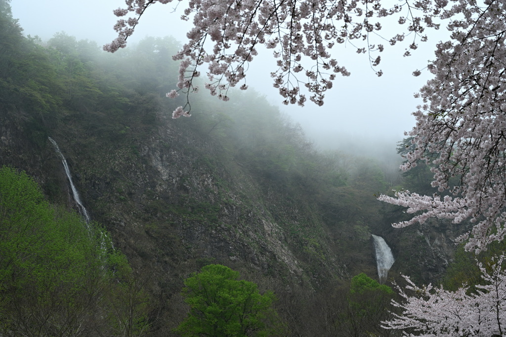 滝と霞