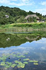 お蕎麦屋さん