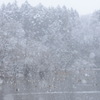 雪の野池