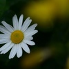 また雨かぁ…