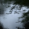 雨音