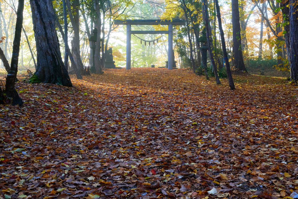 浦臼神社にて２