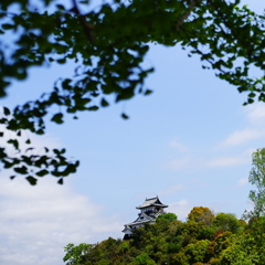 犬山城遠望
