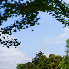 犬山城遠望