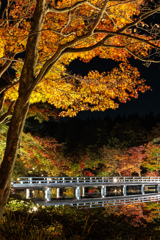 木橋ー秋の夜散歩2022ー