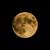 Strawberry Moon