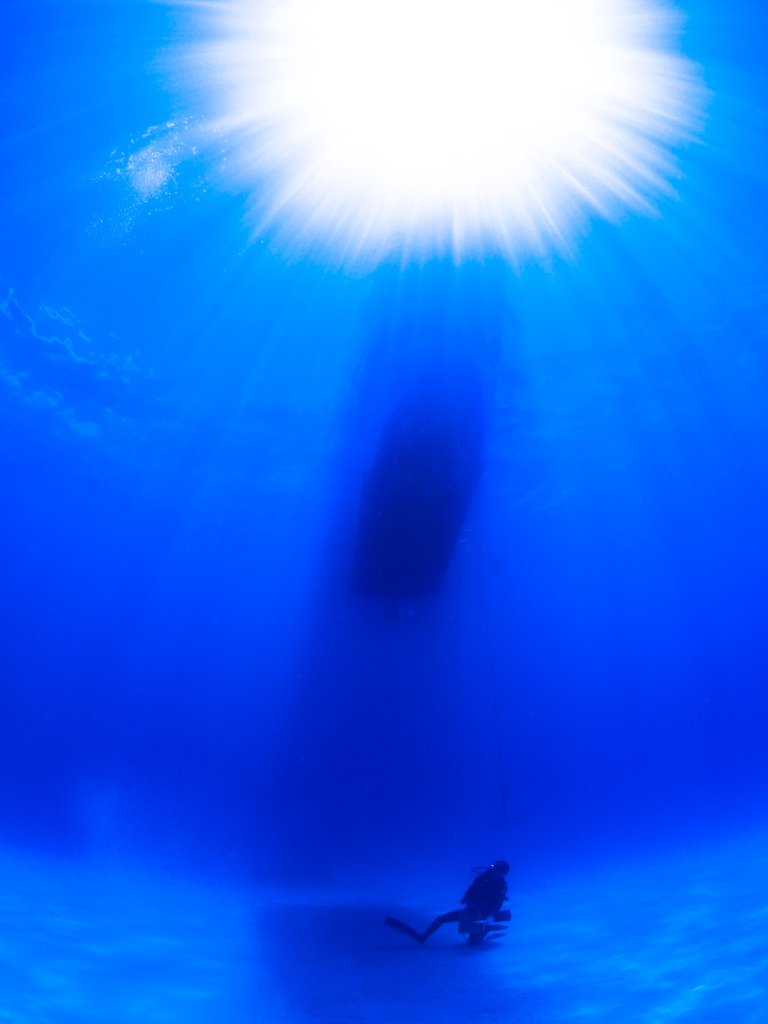 海の中でシャワーを浴びて