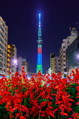 東京スカイツリー×パラリンピック×赤いお花