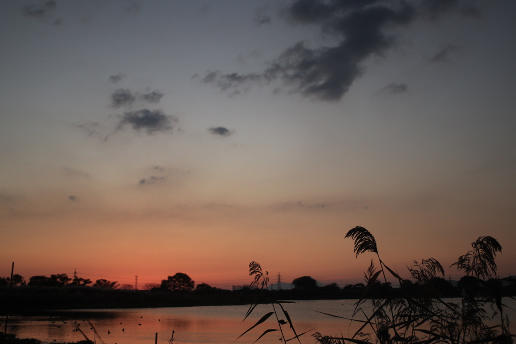 夕暮れの水辺