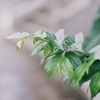 雨の合間