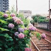 路面電車のある風景