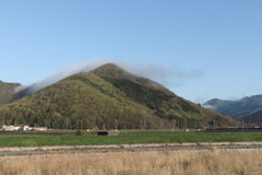 芝田富士
