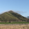 芝田富士