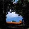 麦稈ロールの見える風景