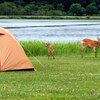 あんまり近づいちゃだめよ