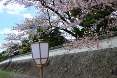 河川敷の石垣