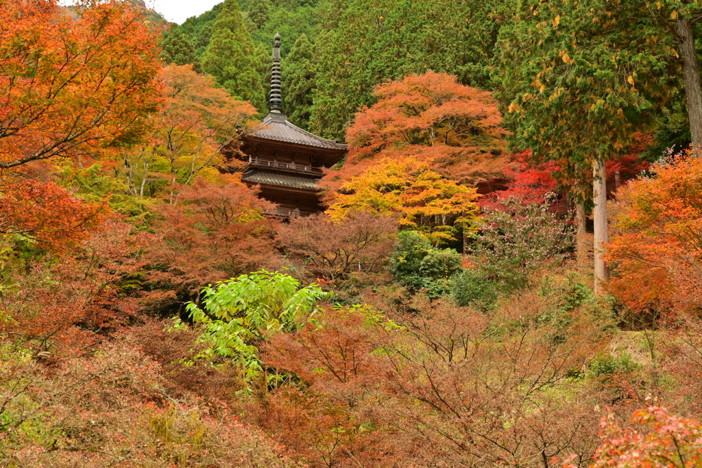 高源寺1/3