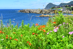 夏色
