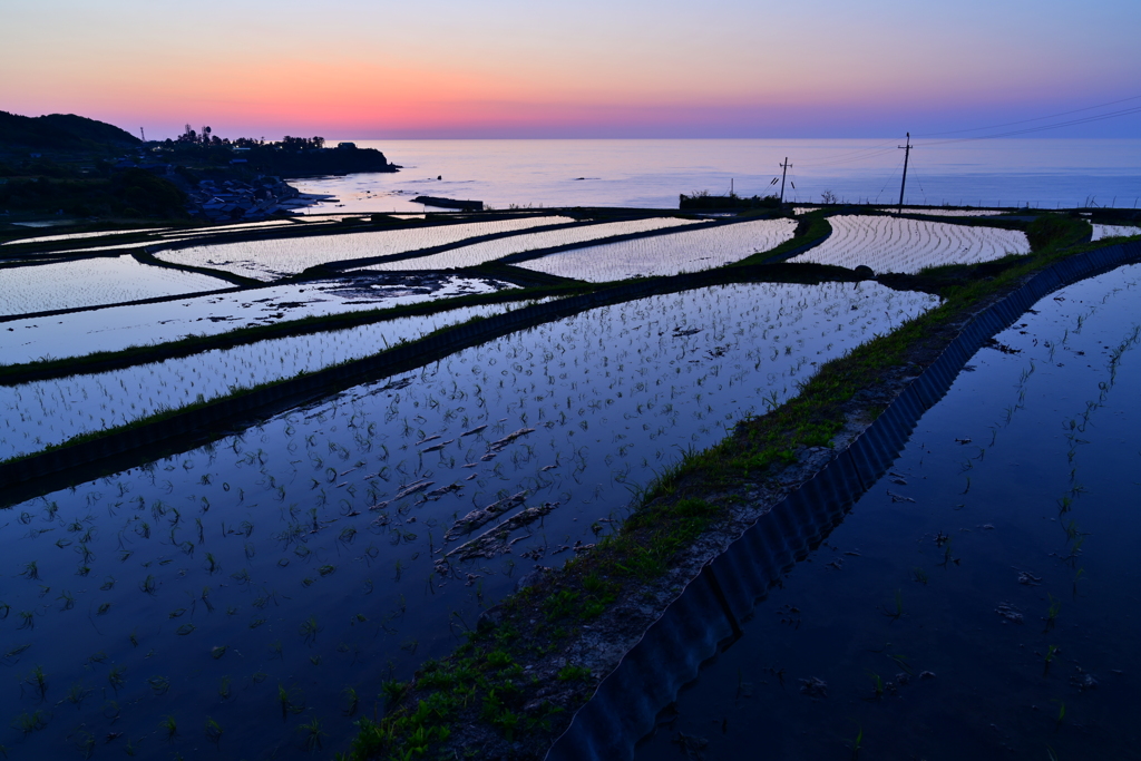 棚田夕景