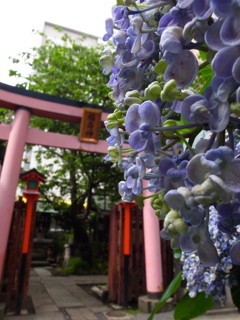 秋葉原　柳森神社　