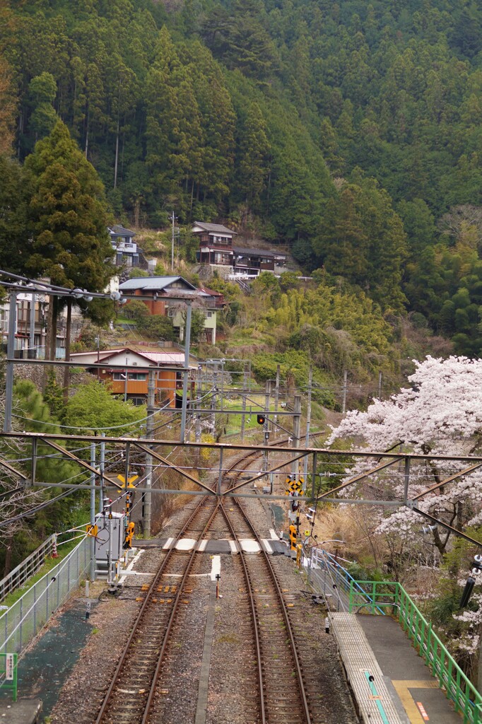 鳩ノ巣駅　