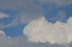 dsc_5396 dsc_5396