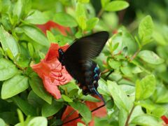 カメラ目線（可愛く撮ってね）