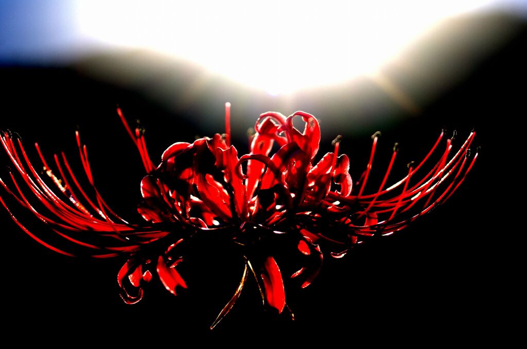 幻想