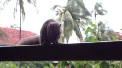 バリ島ホテルのお出迎え