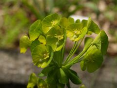 あなたのお名前は？１