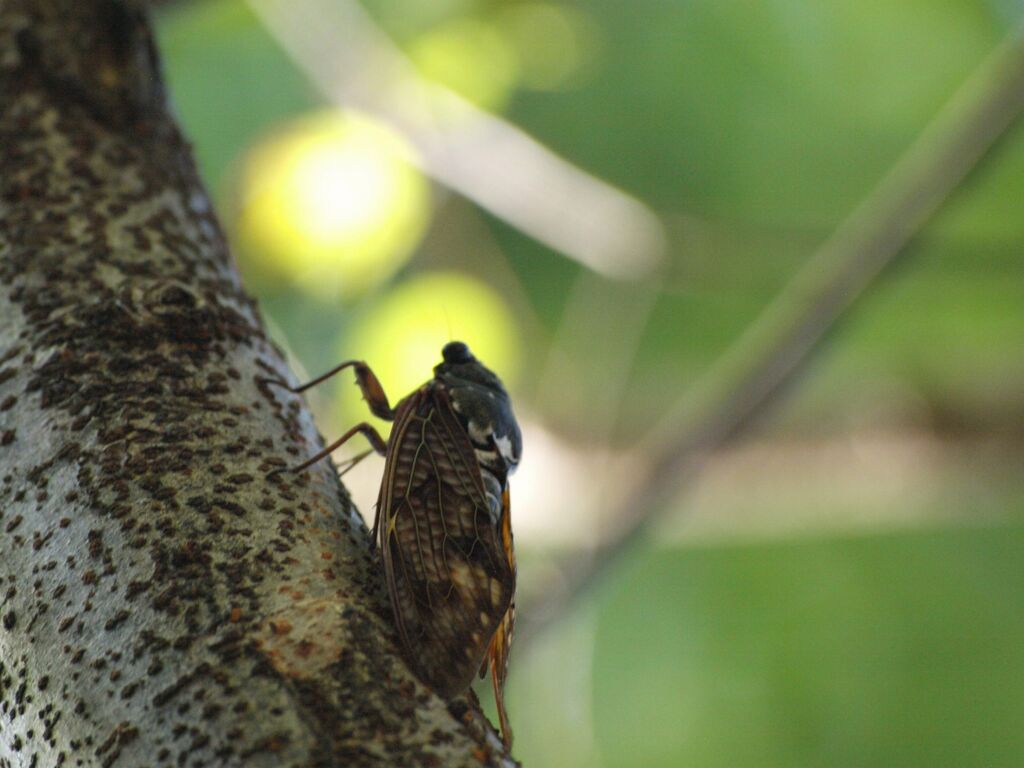 日陰でひと休み