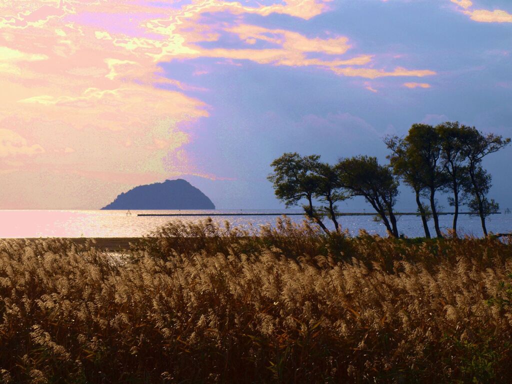 琵琶湖に浮かぶ竹生島