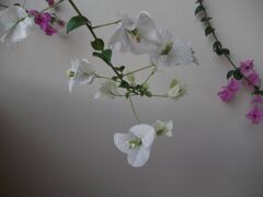 プーケットの想いで２