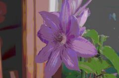 クレマチス（絵画風）