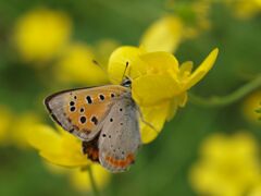 食事中失礼します