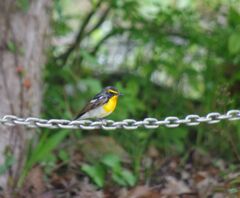 パートナー募集中