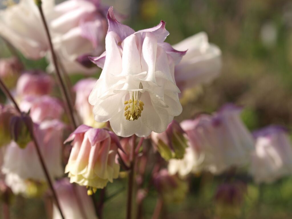 あなたのお名前は？２