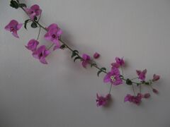 プーケットの想いで３