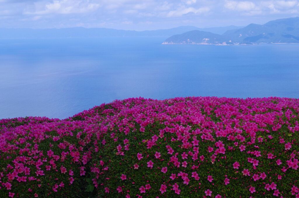 日本海を望む