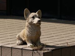 おとなしくお留守番